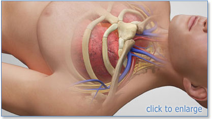 internal jugular vein