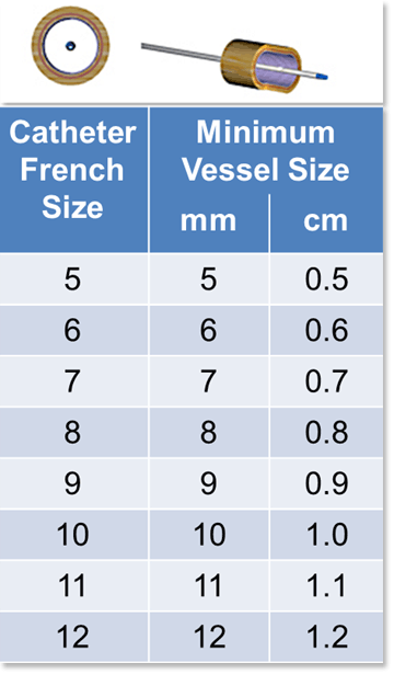 Sheath Size Chart