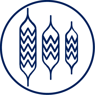 Track graph placeholder