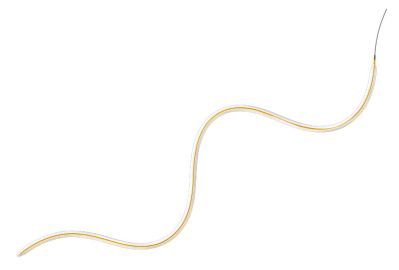 Passeo-14 product image