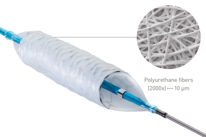 PK Papyrus Illustration