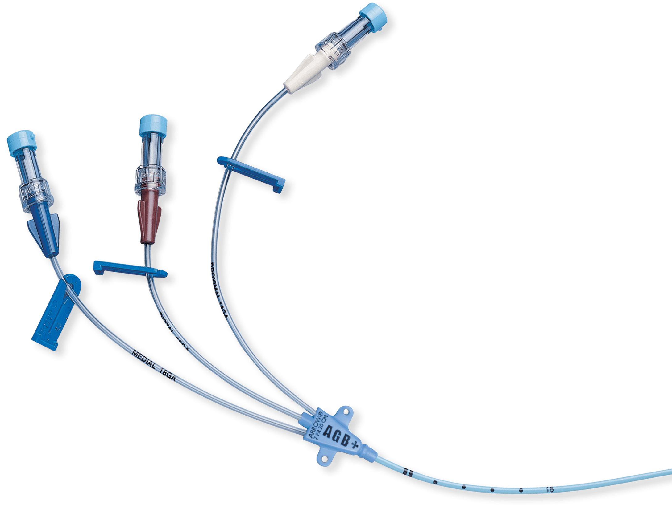 Arrow Arrowg+ard Blue Plus Central Venous Catheters